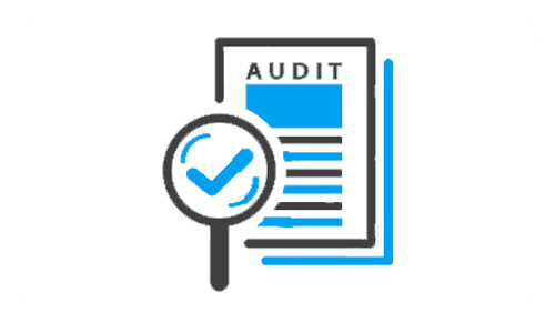 Website Audit