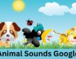 animal sounds google