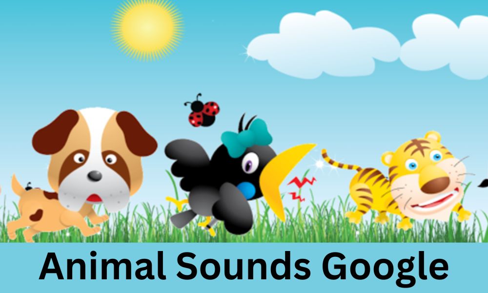 animal sounds google