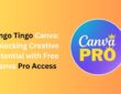 Bingo Tingo Canva