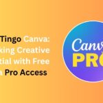Bingo Tingo Canva