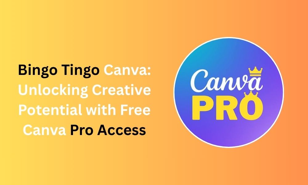 Bingo Tingo Canva