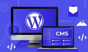 WordPress Is Better Than Other CMS