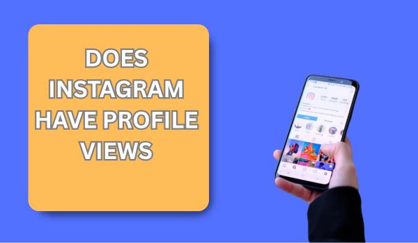 does instagram have profile views